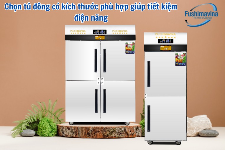 Tìm hiểu kích thước tủ đông thông dụng trên thị trường hiện nay