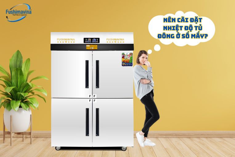 Tủ đông nên để số mấy? Gợi ý nền nhiệt độ bảo quản thực phẩm phù hợp