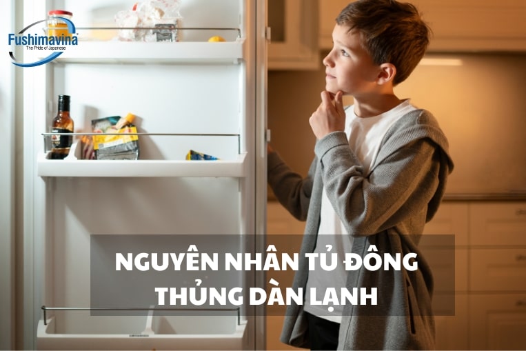 Cách khắc phục tủ đông bị thủng nhanh chóng | Fushimavina