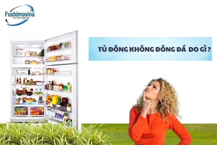Nguyên nhân nào khiến ngăn đá không đông được? Giải pháp là gì?