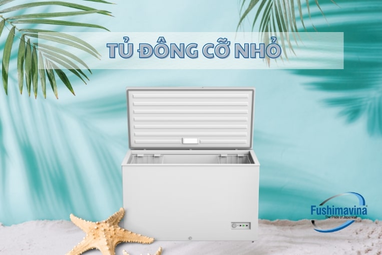 Xem Qua 4 Dòng Tủ Đông Mini Và Kinh Nghiệm Mua Từ Fushimavina