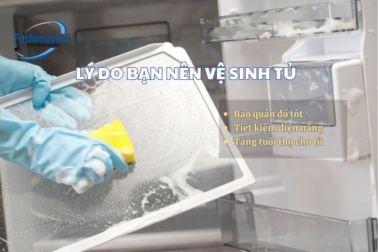 Tại sao phải vệ sinh tủ đông? Cách vệ sinh tủ lạnh đúng là gì?