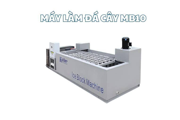 Máy làm đá cây mini có những công dụng và hạn chế gì khi dùng?