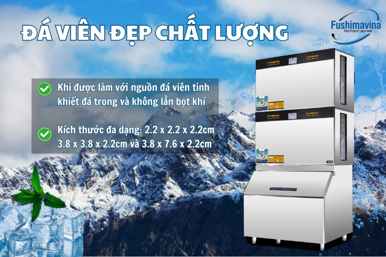 có nhiều kiểu đá viên với chất lượng sạch