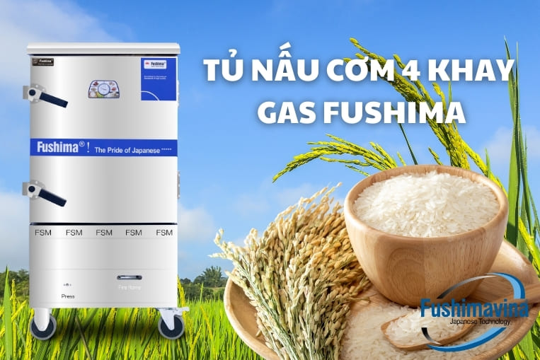 tủ nấu cơm 4 khay gas