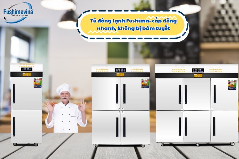 Review 3 thương hiệu tủ đông không đóng tuyết đáng mua nhất 2025