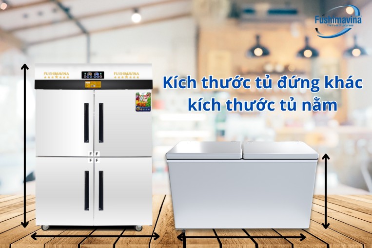 Kích thước các loại loại tủ đông phân theo kiểu dáng