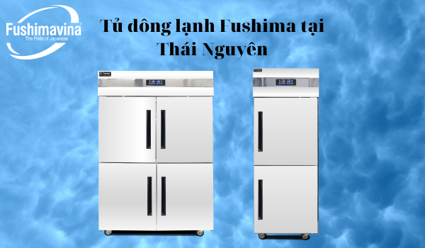 Tủ đông lạnh Fushima tại Thái Nguyên
