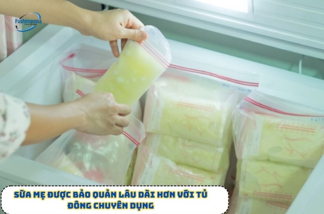 Lưu trữ sữa lâu dài hơn với tủ cấp đông trữ sữa