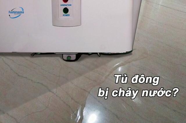 Tình trạng tủ đông gặp sự cố chảy nước