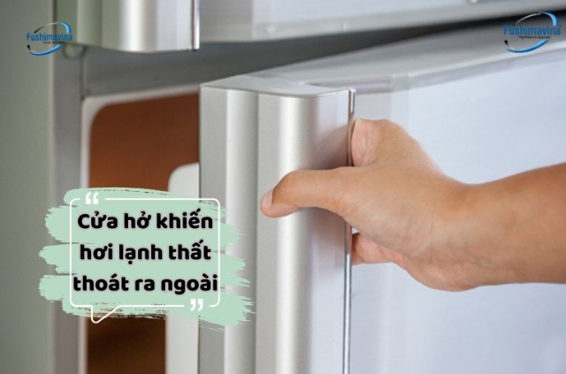 Cửa tủ đông bị hở