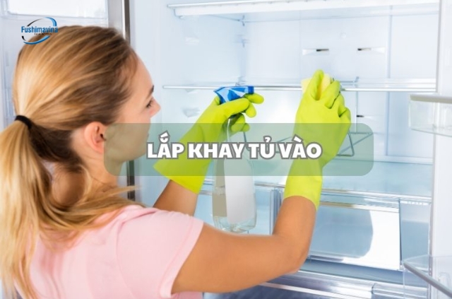 Hướng dẫn vệ sinh tủ đông đúng cách, sạch khuẩn và tiết kiệm điện 8 lắp khay tủ đông