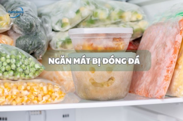 ngăn dưới bị đóng tuyết 