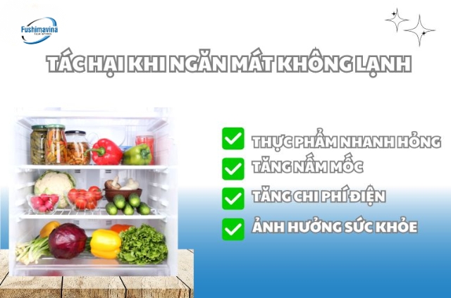 Ảnh hưởng khi ngăn dưới tủ lạnh không đủ lạnh.