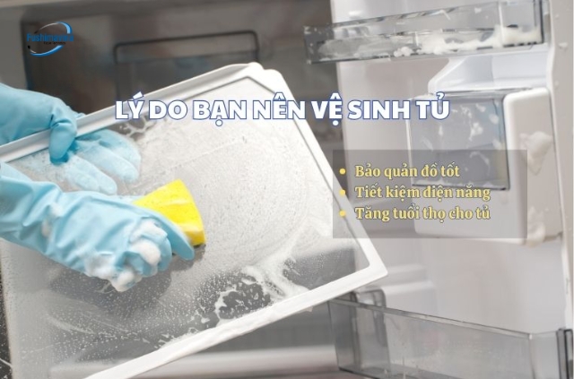 Hướng dẫn vệ sinh tủ đông đúng cách, sạch khuẩn và tiết kiệm điện 5 lý do nên vệ sinh tủ đông