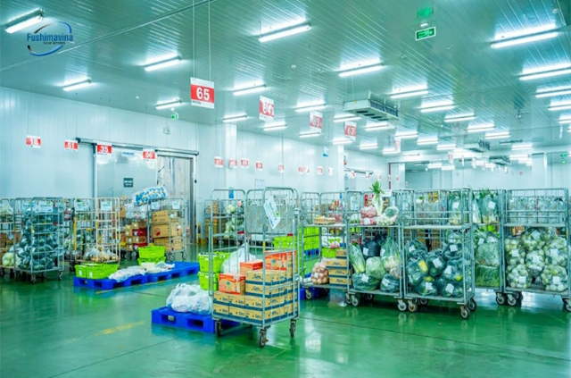 Công nghệ bảo quản lạnh: Bí quyết giữ thực phẩm tươi lâu hơn 6 kỹ thuật bảo quản lạnh