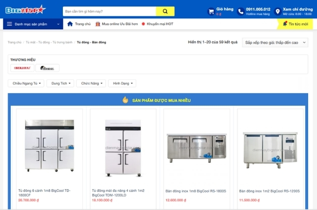 Mua tủ đông lạnh công nghiệp tại Điện máy BigStar