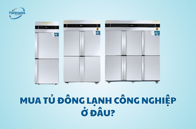 mua tủ đông lạnh công nghiệp