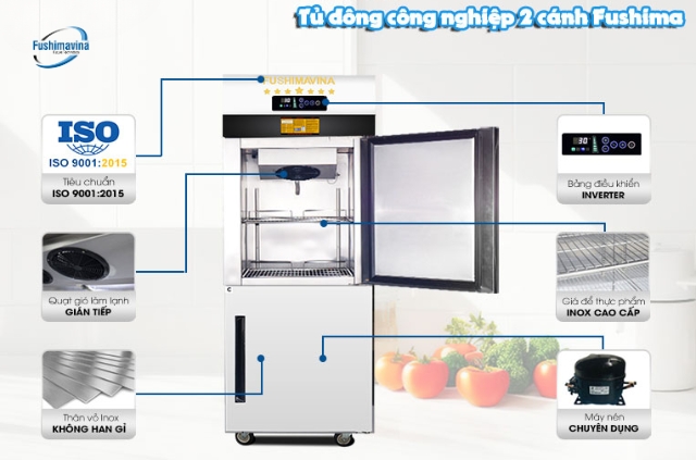 Tủ đông công nghiệp 2 cánh quạt gió