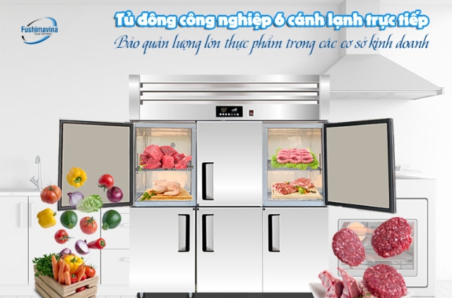 Tủ đông công nghiệp 6 cánh lạnh trực tiếp FSM-TD6C