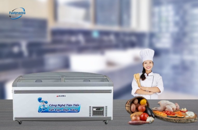 Tủ đông không bám tuyết Alaska