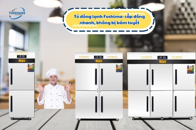  Tủ cấp đông không đóng tuyết Fushimavina.
