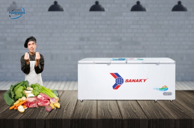 Tủ đông không bám tuyết Sanaky