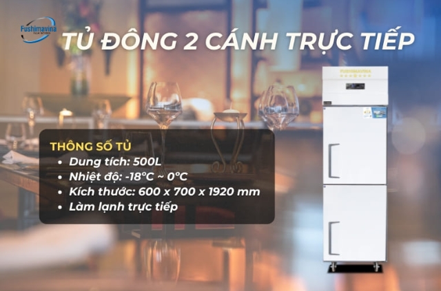 tủ đông 2 cánh lạnh trực tiếp