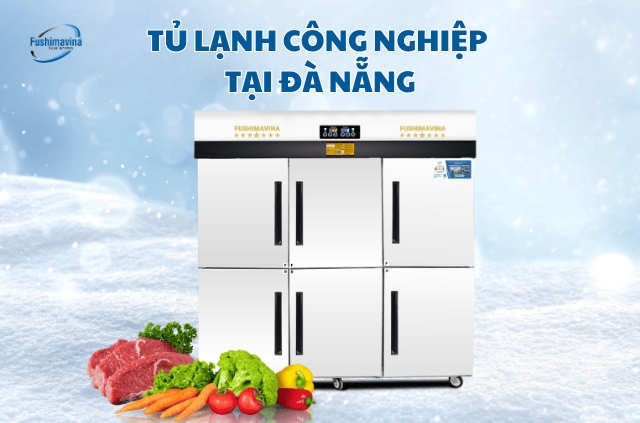 Địa chỉ bán tủ lạnh công nghiệp tại thành phố Đà Nẵng uy tín.