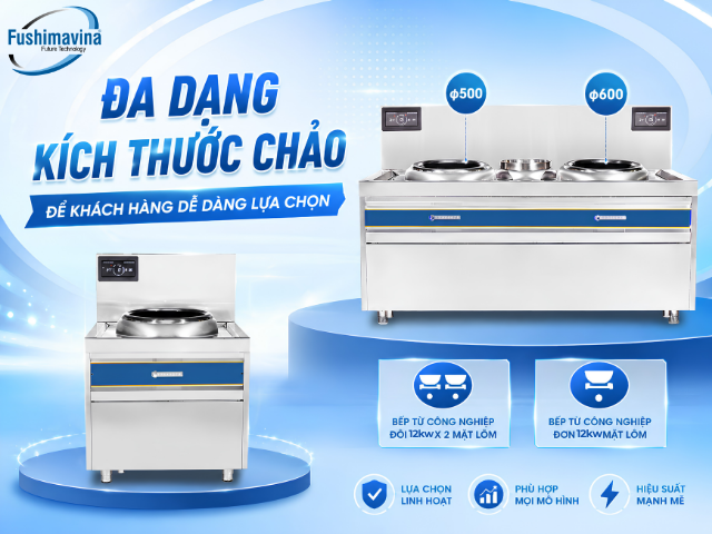 Bếp Từ Công Nghiệp Đôi 12kWx2 Mặt Lõm Phi 500 27 btfsm12ml2p500-thiet-ke-mat-lom