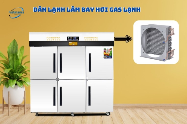 Tìm hiểu cấu tạo và nguyên lý hoạt động tủ đông chi tiết nhất 8 Dàn lạnh tủ đông