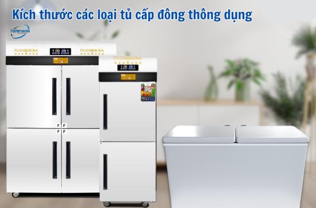 kích thước tủ đông thông dụng
