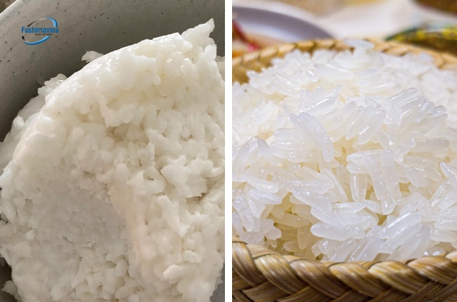 Bật mí cách nấu xôi ngon với tủ hấp cơm dẻo thơm, chín đều 8 Lỗi thường gặp khi nấu xôi bằng tủ hấp cơm.