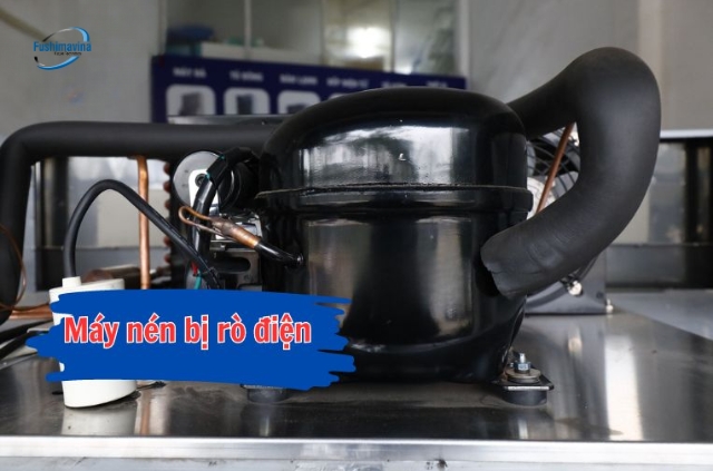 Do máy nén của tủ đông bị rò điện