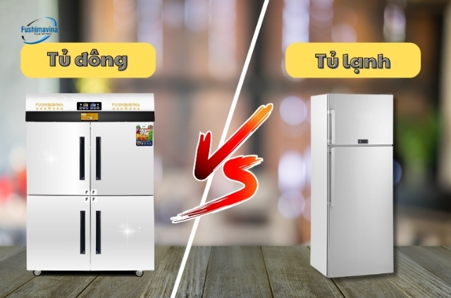 Nên mua tủ lạnh hay tủ đông bảo quản thực phẩm? Cách chọn đúng 4 Phân biệt sự khác nhau giữa tủ lạnh và tủ đông giúp bạn có lựa chọn phù hợp
