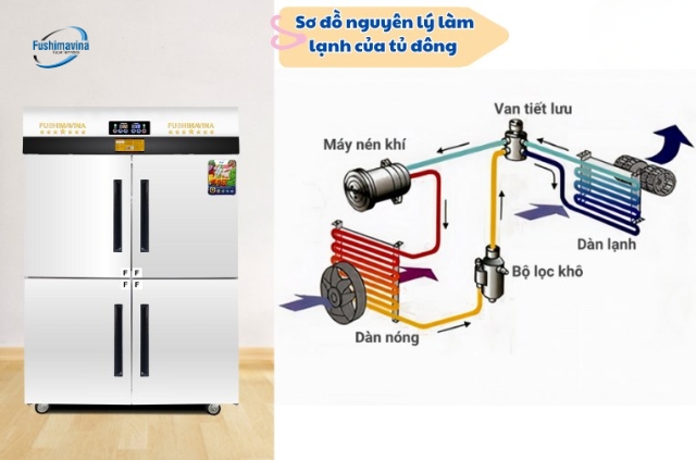 Tìm hiểu cấu tạo và nguyên lý hoạt động tủ đông chi tiết nhất 10 Nguyên lý làm lạnh của tủ đông