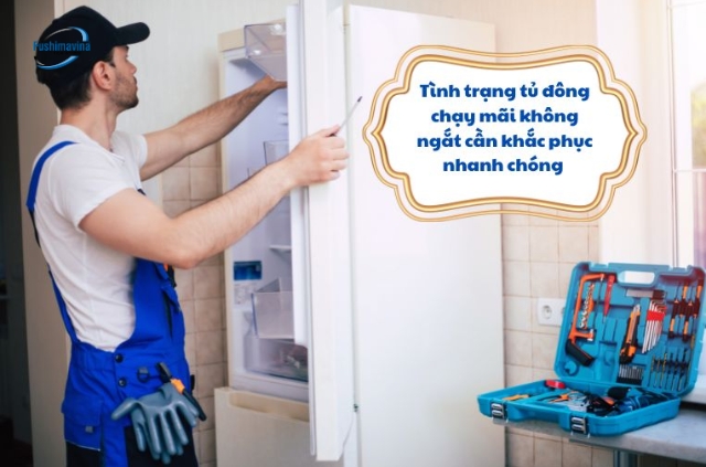 Tìm hiểu 6 nguyên nhân tủ đông chạy không ngắt, cách khắc phục nhanh 10 Tủ đông chạy liên tục không ngắt dẫn đến những hậu quả gì?