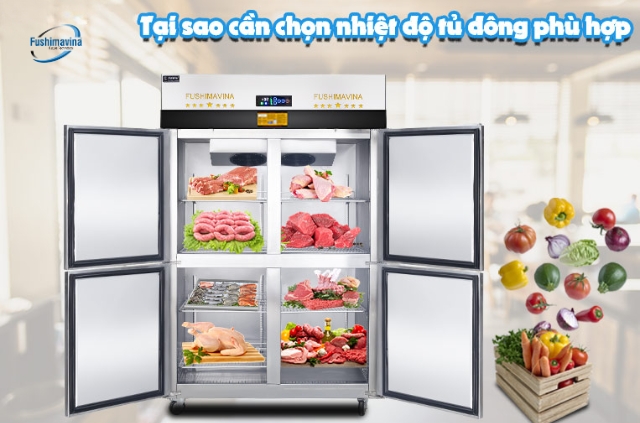 Tủ đông nên để số mấy? Cách chỉnh nhiệt độ tủ đông phù hợp 6 tại sao cần chọn nhiệt độ tủ đông phù hợp