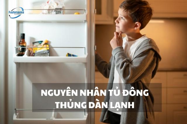 Tìm hiểu tủ cấp đông bị thủng