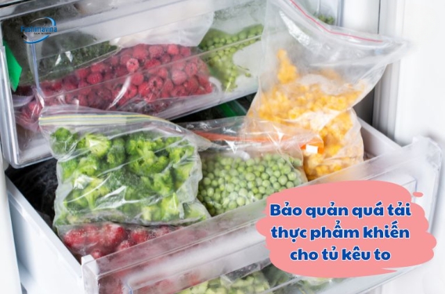Vì sao tủ đông kêu to? 9 lỗi thường gặp và cách khắc phục 12 Do tủ đang bị quá tải lượng thực phẩm bảo quản