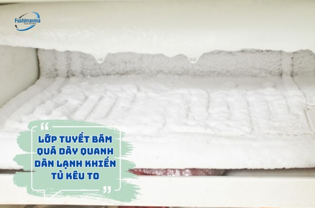 Vì sao tủ đông kêu to? 9 lỗi thường gặp và cách khắc phục 11 Do dàn lạnh bị bám tuyết dày