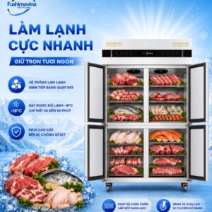 FSM-TDQ1000-lam-lanh-cuc-nhanh