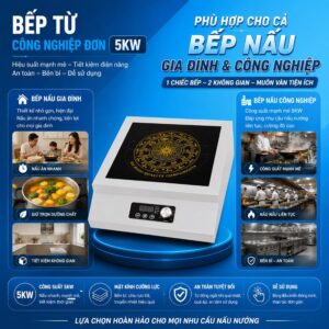 bep tu cong nghiep 5kw phang don (1)