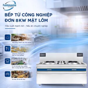 bep-tu-cong-nghiep-doi-8kwx2-mat-lom-phi-500-18