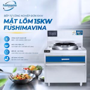bep-tu-cong-nghiep-don-15kw-mat-lom-8