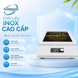 bep-tu-cong-nghiep-don-3500w-mat-phang-1