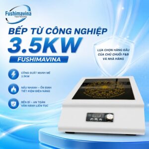 bep-tu-cong-nghiep-don-3500w-mat-phang-6
