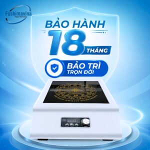 bep-tu-cong-nghiep-don-3500w-mat-phang-7