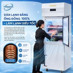 dan-lanh-fsm-td2C-bang-dong