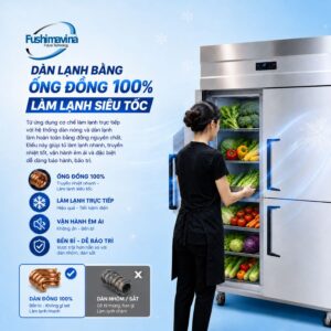 model-FSM-TM4C-co-dan-lanh-bang-dong